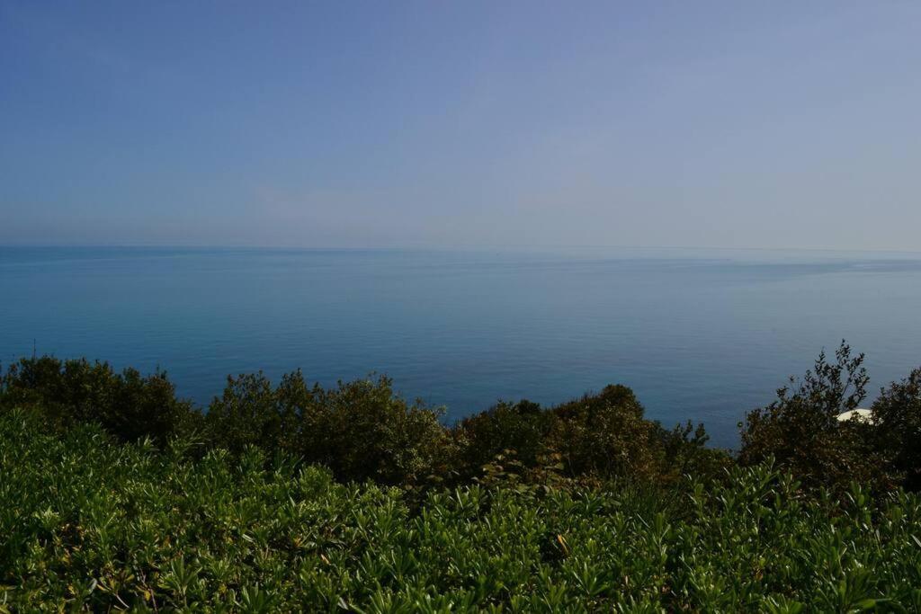 Belvedere Di อังโกนา ภายนอก รูปภาพ