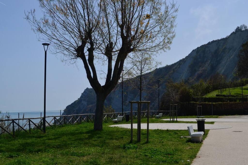 Belvedere Di อังโกนา ภายนอก รูปภาพ